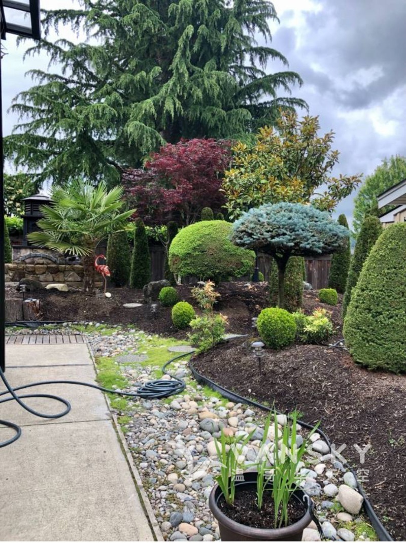 251014142844_Image 5.jpg